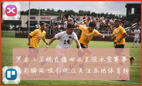 黑龙江卫视直播回放呈现冰雪赛事精彩瞬间 吸引观众关注本地体育转播