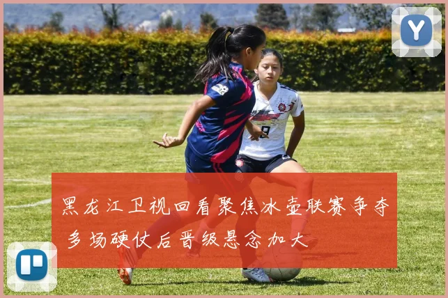 黑龙江卫视回看聚焦冰壶联赛争夺 多场硬仗后晋级悬念加大