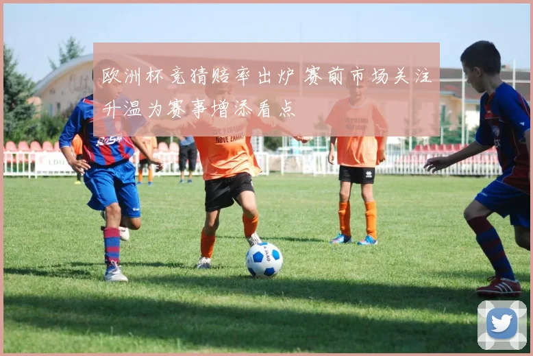 欧洲杯竞猜赔率出炉 赛前市场关注升温为赛事增添看点