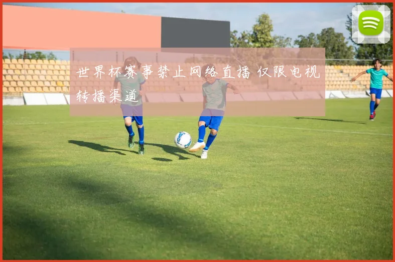 世界杯赛事禁止网络直播 仅限电视转播渠道
