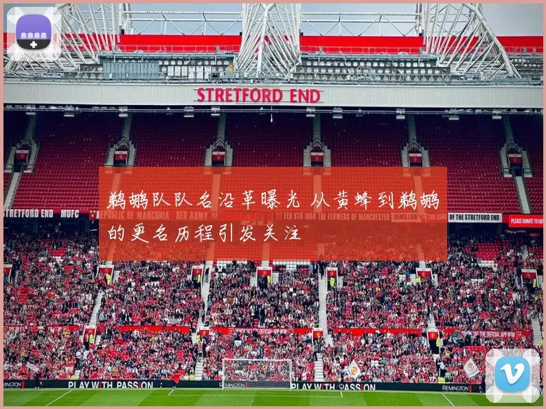 鹈鹕队队名沿革曝光 从黄蜂到鹈鹕的更名历程引发关注