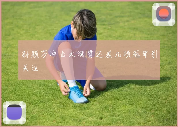 孙颖莎冲击大满贯还差几项冠军引关注