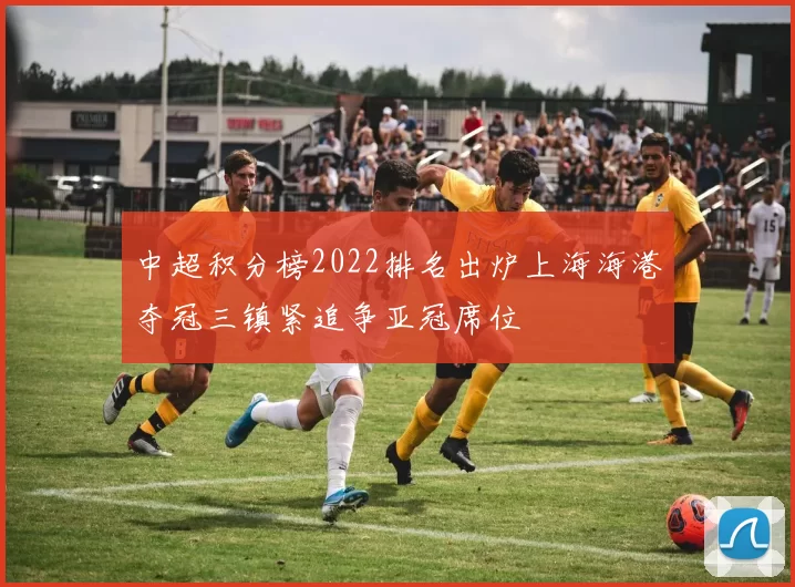 中超积分榜2022排名出炉上海海港夺冠三镇紧追争亚冠席位